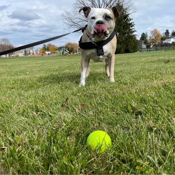 Meet your Posher, Maegan - Picture 11 of 16